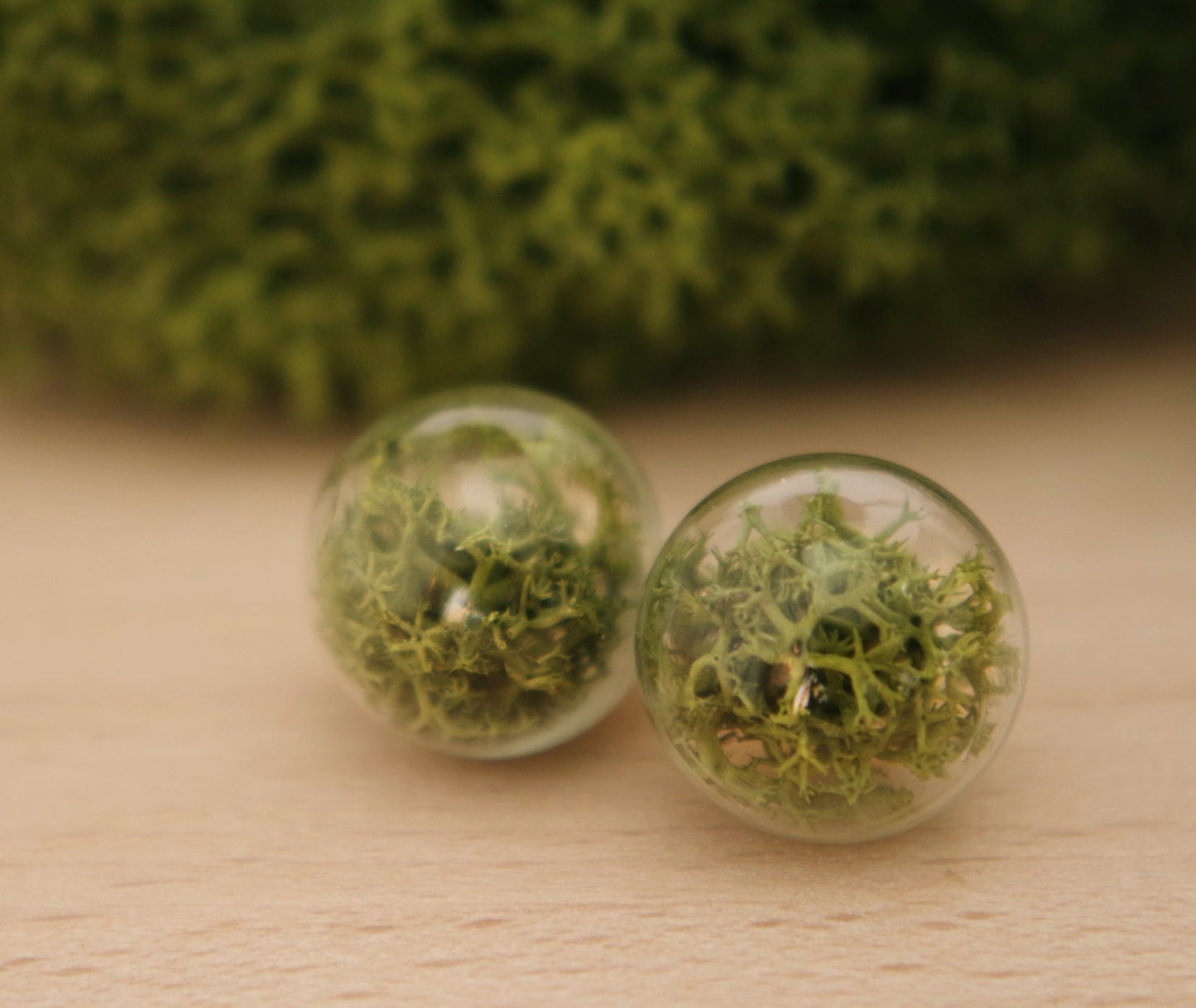 Moss Earrings Moss Studs Real Dried Moss Green Moss Earrings Terrarium Earrings Botanical earrings Eco friendly jewelry Real moss earrings