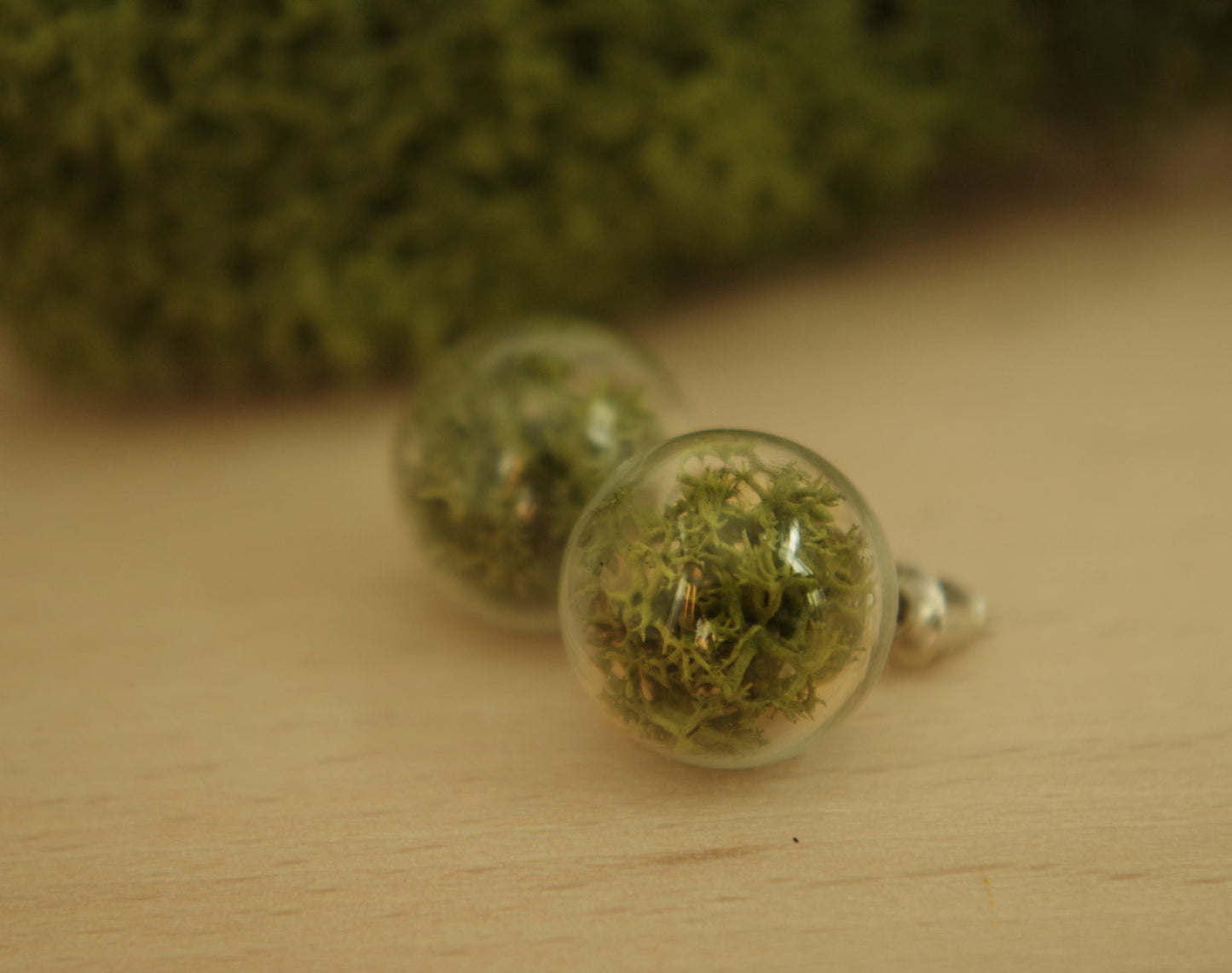 Moss Earrings Moss Studs Real Dried Moss Green Moss Earrings Terrarium Earrings Botanical earrings Eco friendly jewelry Real moss earrings