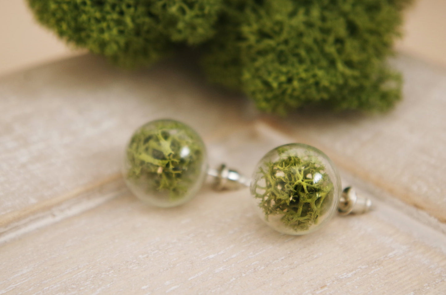 Moss Earrings Moss Studs Real Dried Moss Green Moss Earrings Terrarium Earrings Botanical earrings Eco friendly jewelry Real moss earrings
