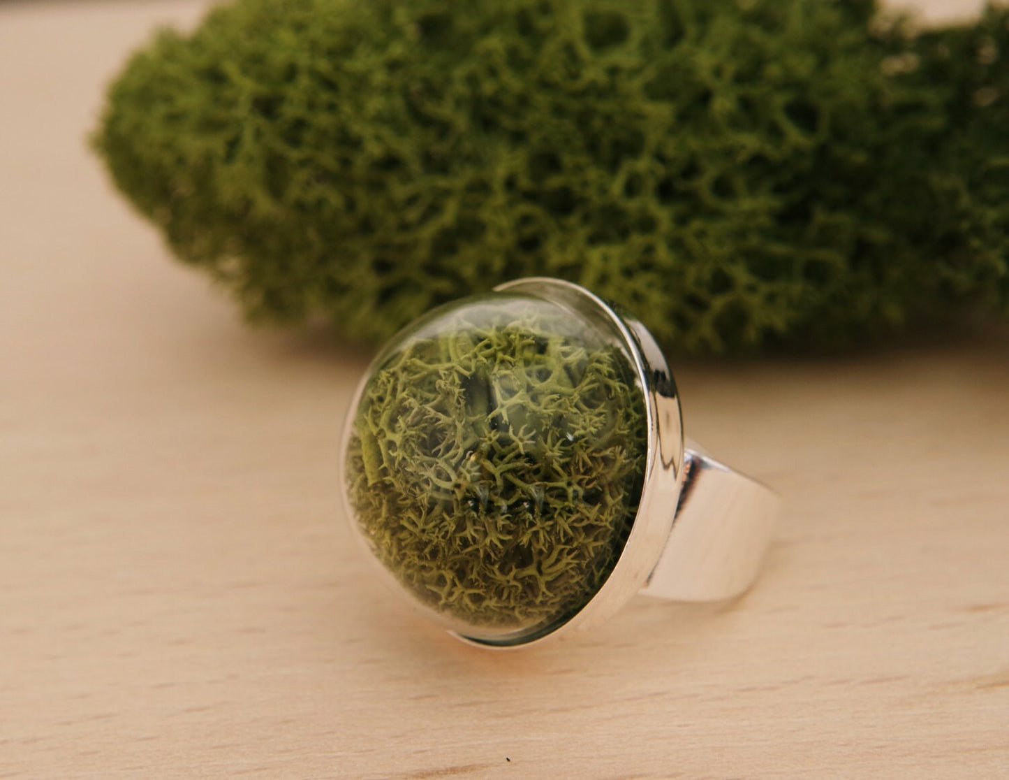 Moss terrarium ring terrarium ring natural moss nature rings real plant ring forest jewelry nature rings moss jewelry Christmas gift idea