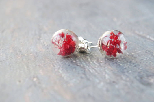Red flower stud earrings natural flower  jewelry small real flower earrings daisy flower botanical glass globe  birthday gift Mother's Day