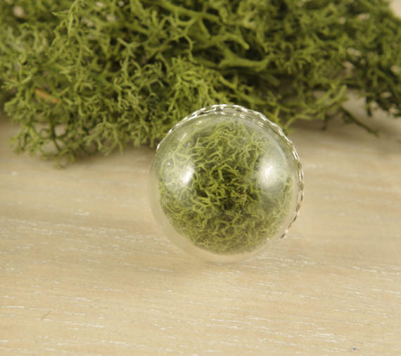 Natural moss ring terrarium jewelry real plant ring forest jewelry Mothers day gift for women green moss botanical ring idea gift for her