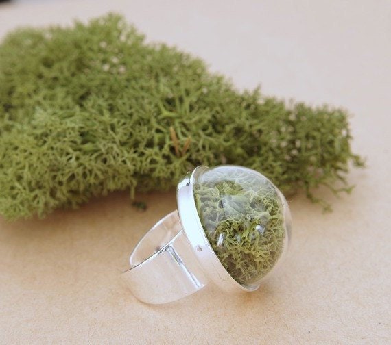 Moss terrarium ring terrarium ring natural moss nature rings real plant ring forest jewelry nature rings moss jewelry Christmas gift idea