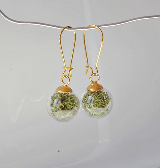 Green moss earrings Terrarium  botanical earrings Real moss earrings St Patrick day gift for her
