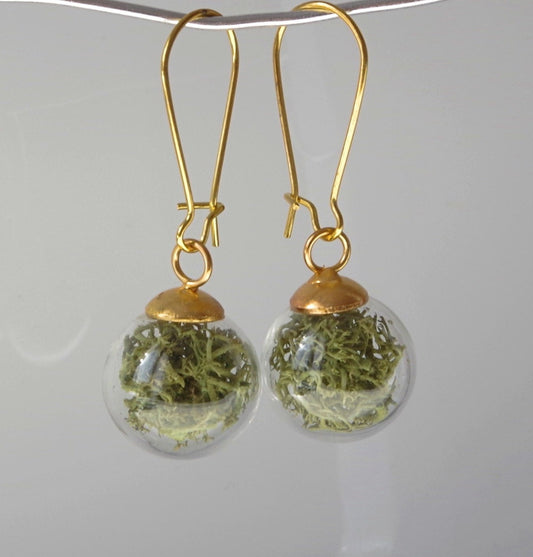 Green moss earrings Terrarium  botanical earrings Real moss earrings St Patrick day gift for her