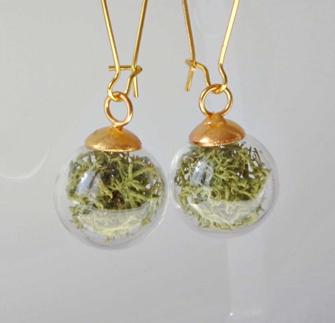 Green moss earrings Terrarium botanical earrings Real moss earrings St Patrick day gift for her