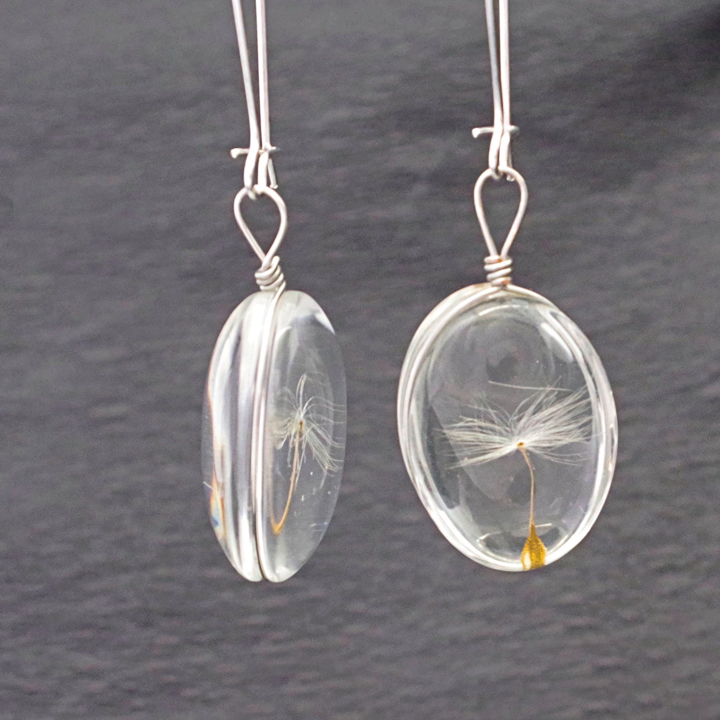 Dandelion seed earrings Terrarium jewelry Pressed flowers wish jewelry gift for women