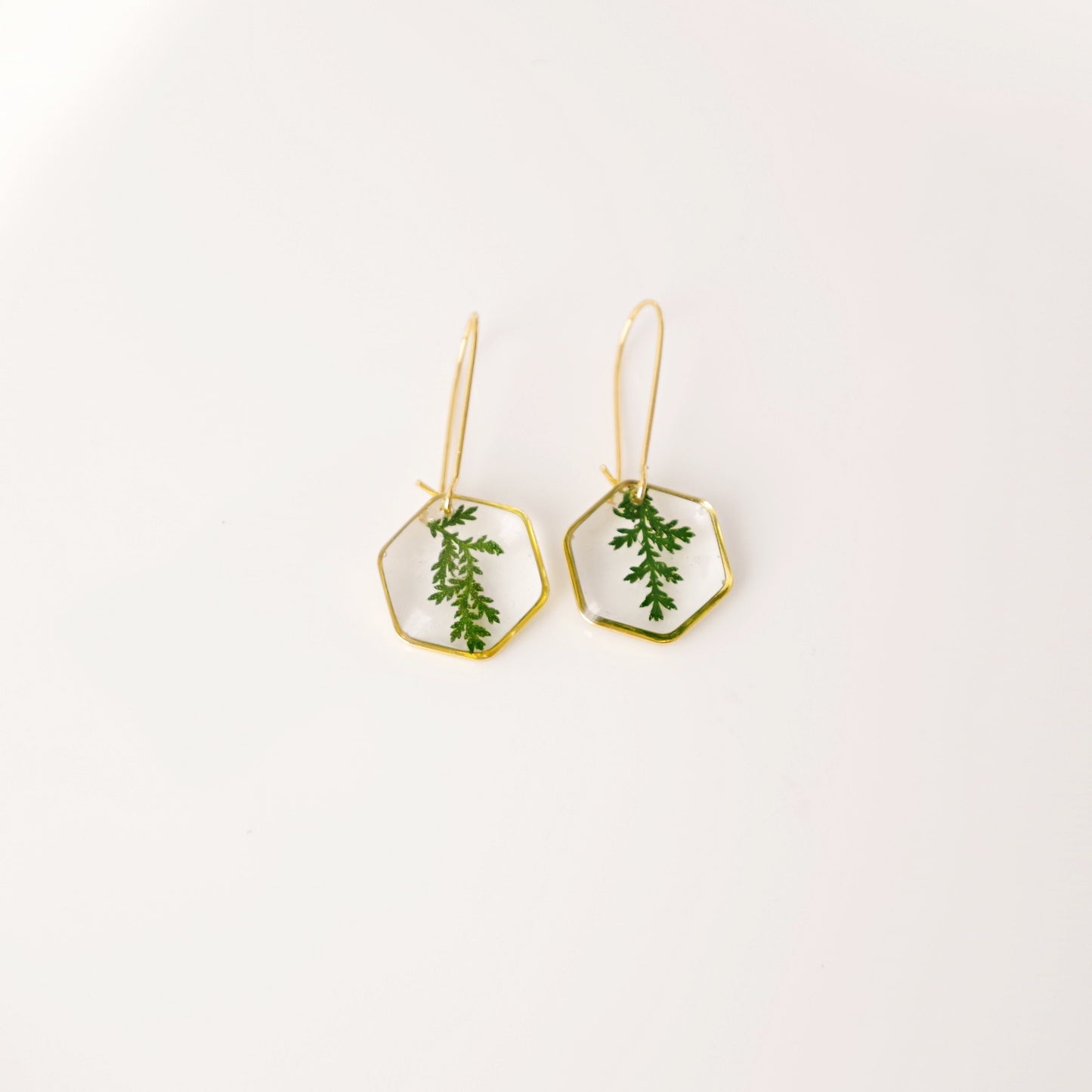Real pressed fern leaf in resin earrings Botanical Jewelry Terrarium Jewelry Mothers day gift for mom real flower jewelry