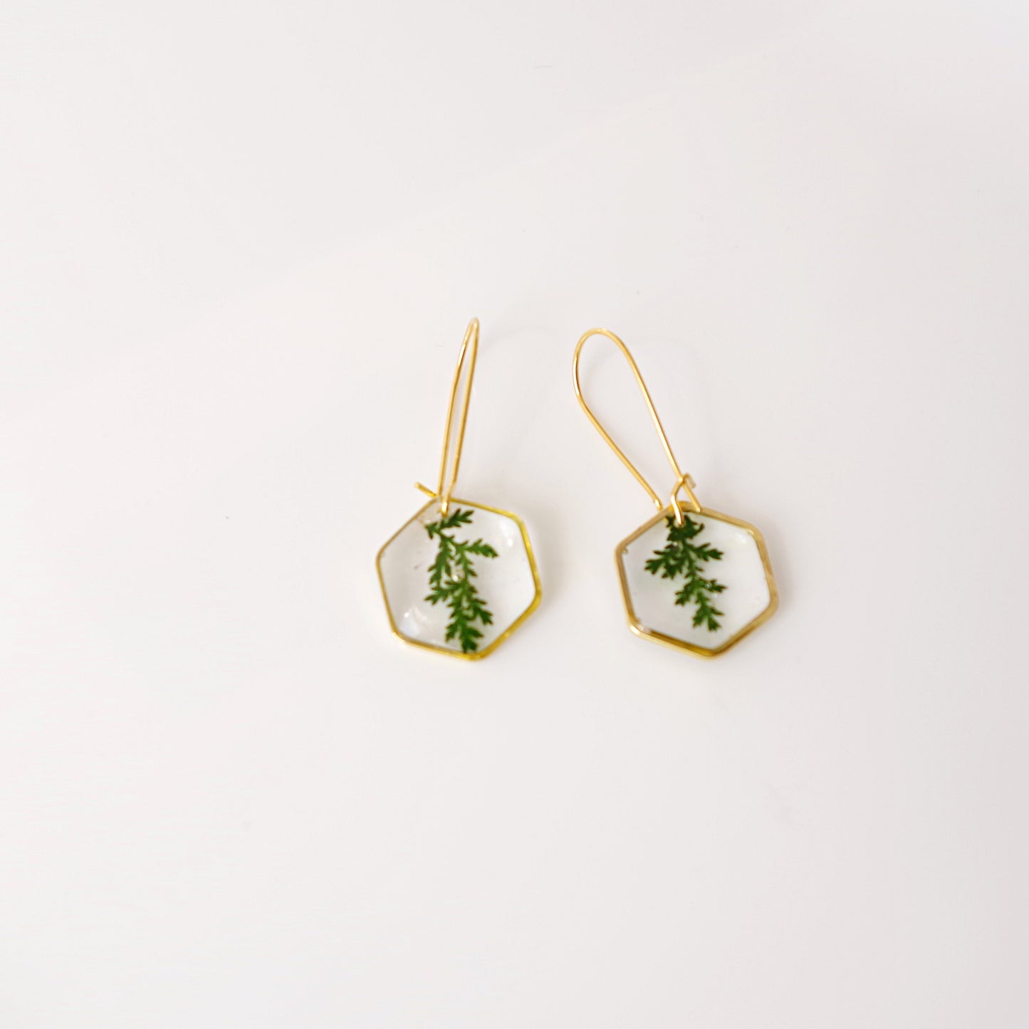 Real pressed fern leaf in resin earrings Botanical Jewelry Terrarium Jewelry Mothers day gift for mom real flower jewelry