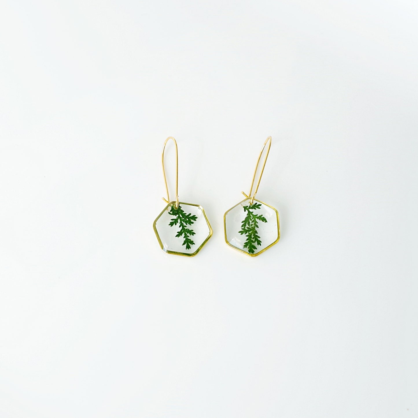 Real pressed fern leaf in resin earrings Botanical Jewelry Terrarium Jewelry Mothers day gift for mom real flower jewelry
