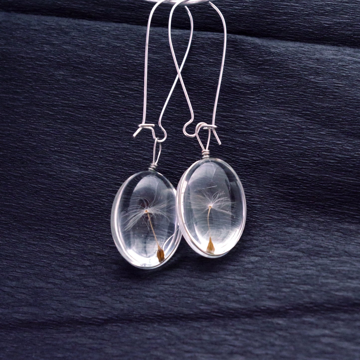 Dandelion seed earrings Terrarium jewelry Pressed flowers wish jewelry gift for women