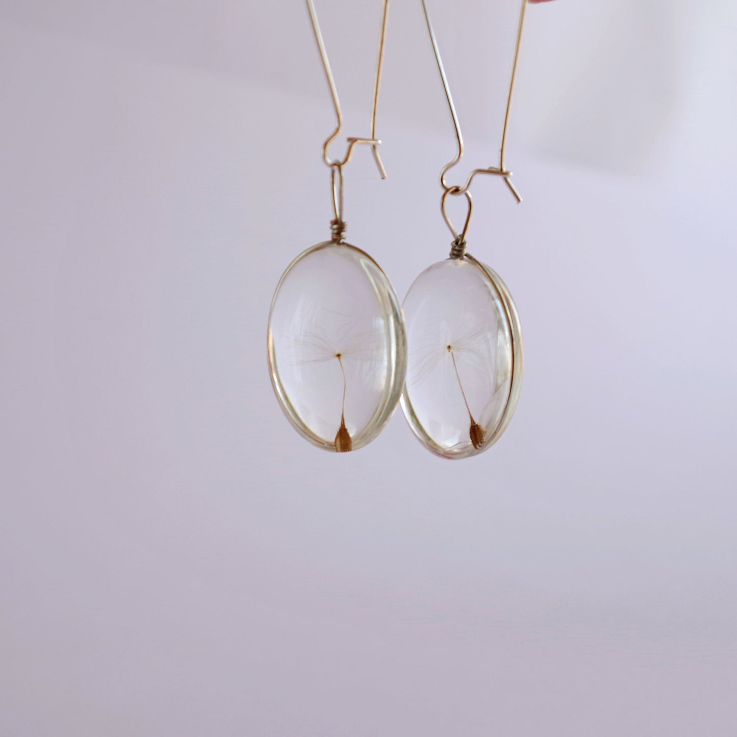 Dandelion seed earrings Terrarium jewelry Pressed flowers wish jewelry gift for women