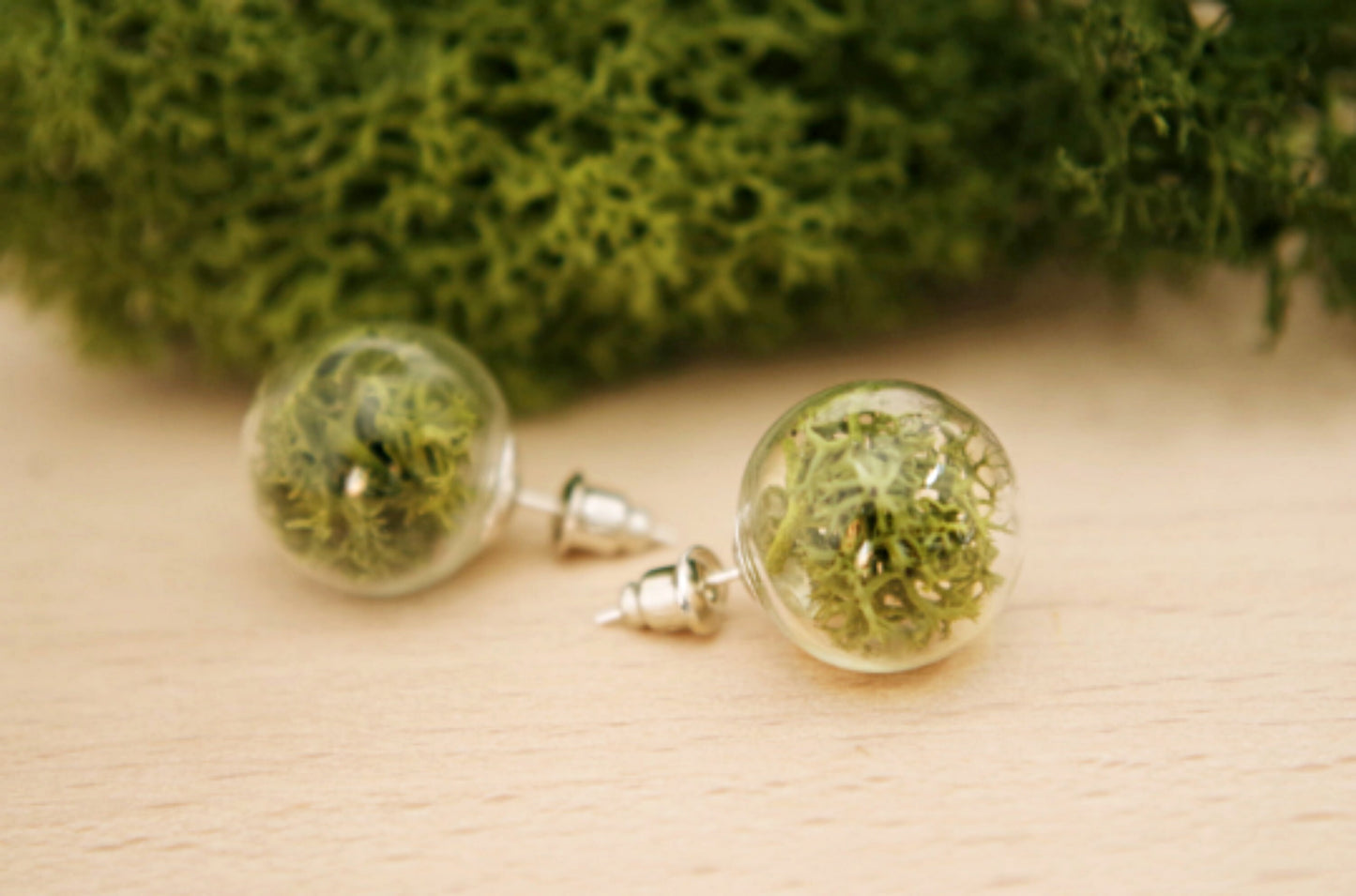 Moss Earrings Moss Studs Real Dried Moss Green Moss Earrings Terrarium Earrings Botanical earrings Eco friendly jewelry Real moss earrings