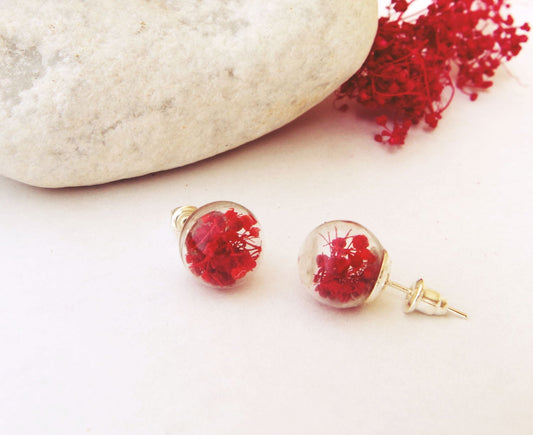 Red flower stud earrings natural flower  jewelry small real flower earrings daisy flower botanical glass globe  birthday gift Mother's Day