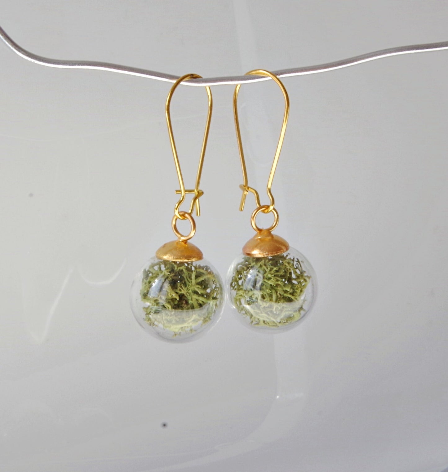 Green moss earrings Terrarium  botanical earrings Real moss earrings St Patrick day gift for her
