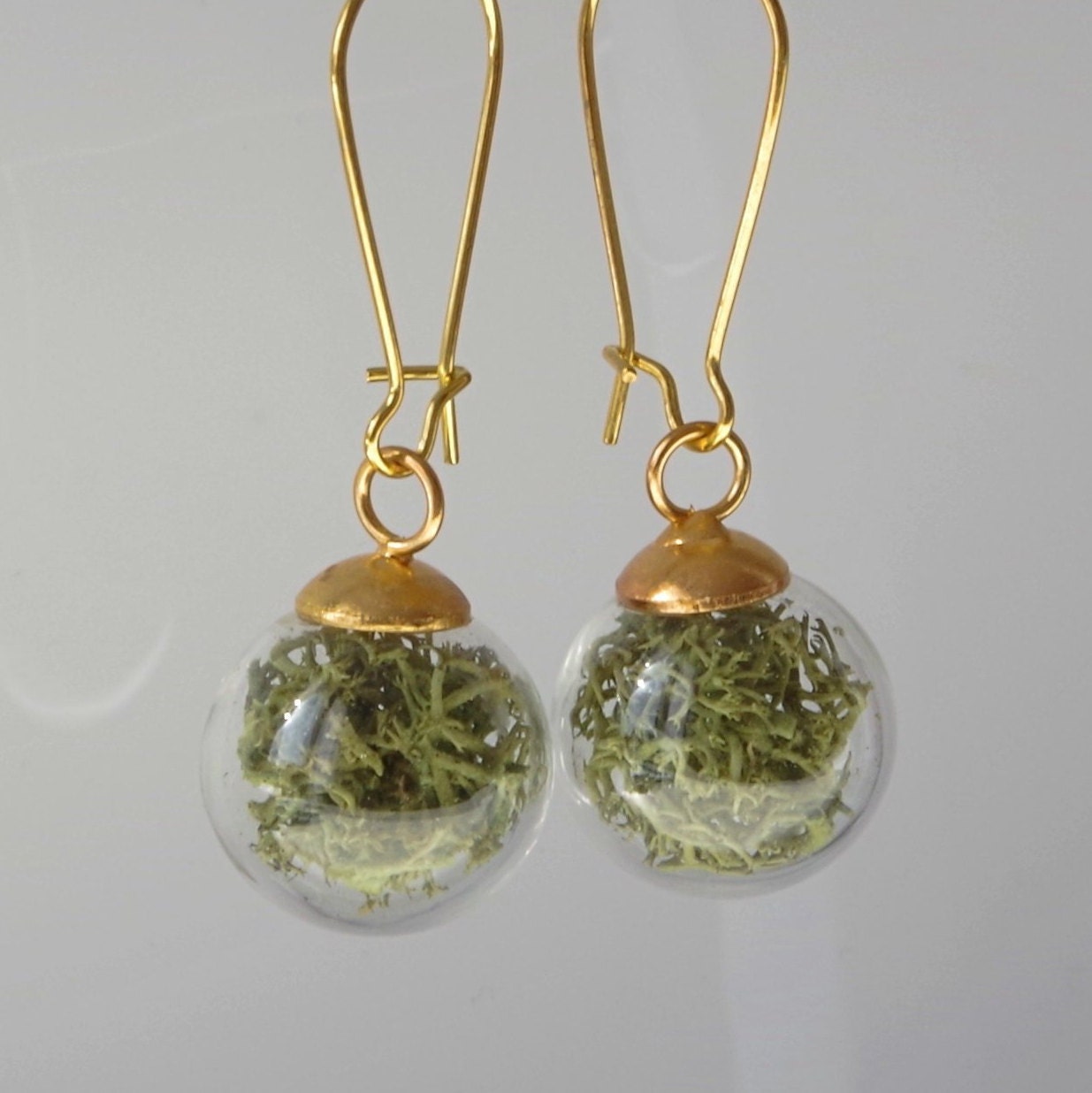 Green moss earrings Terrarium  botanical earrings Real moss earrings St Patrick day gift for her