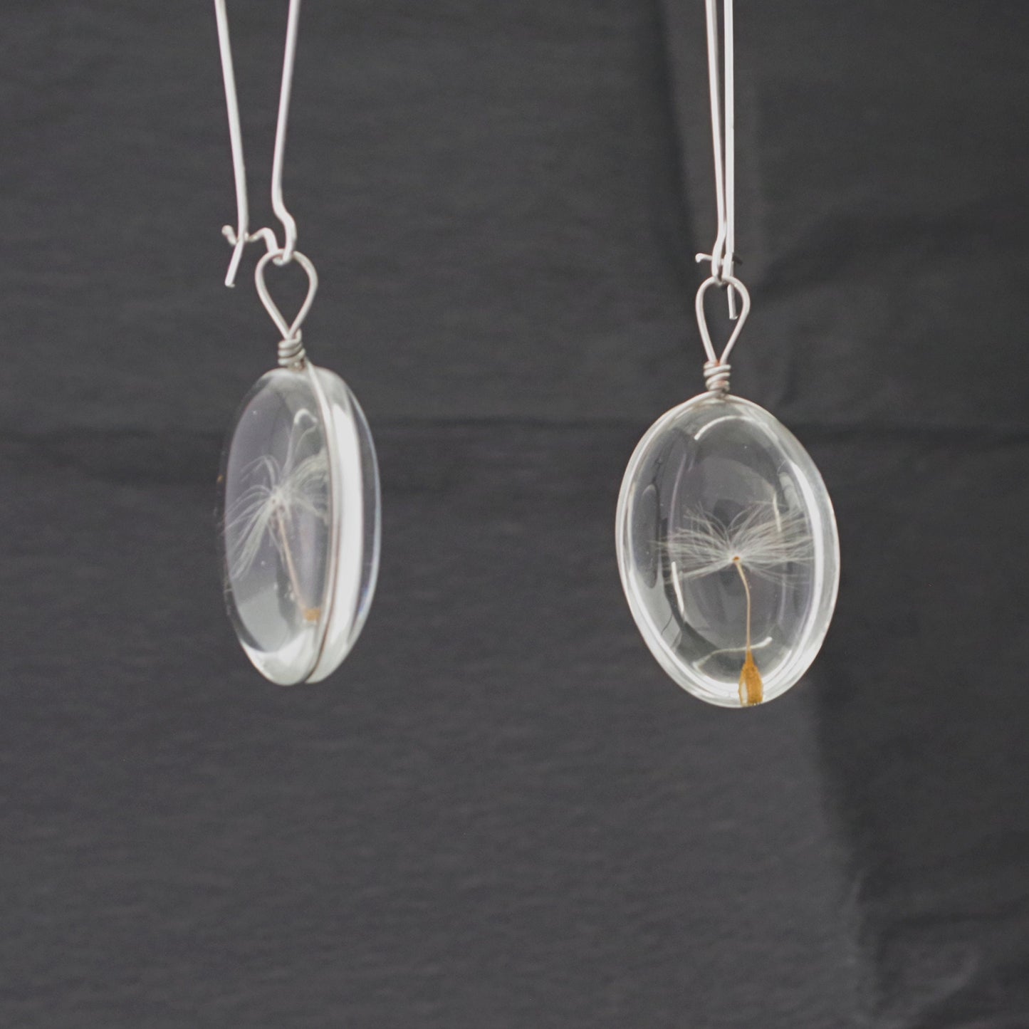 Dandelion seed earrings Terrarium jewelry Pressed flowers wish jewelry gift for women