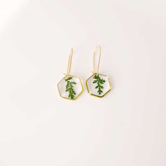 Real pressed fern leaf in resin earrings Botanical Jewelry Terrarium Jewelry Mothers day gift for mom real flower jewelry