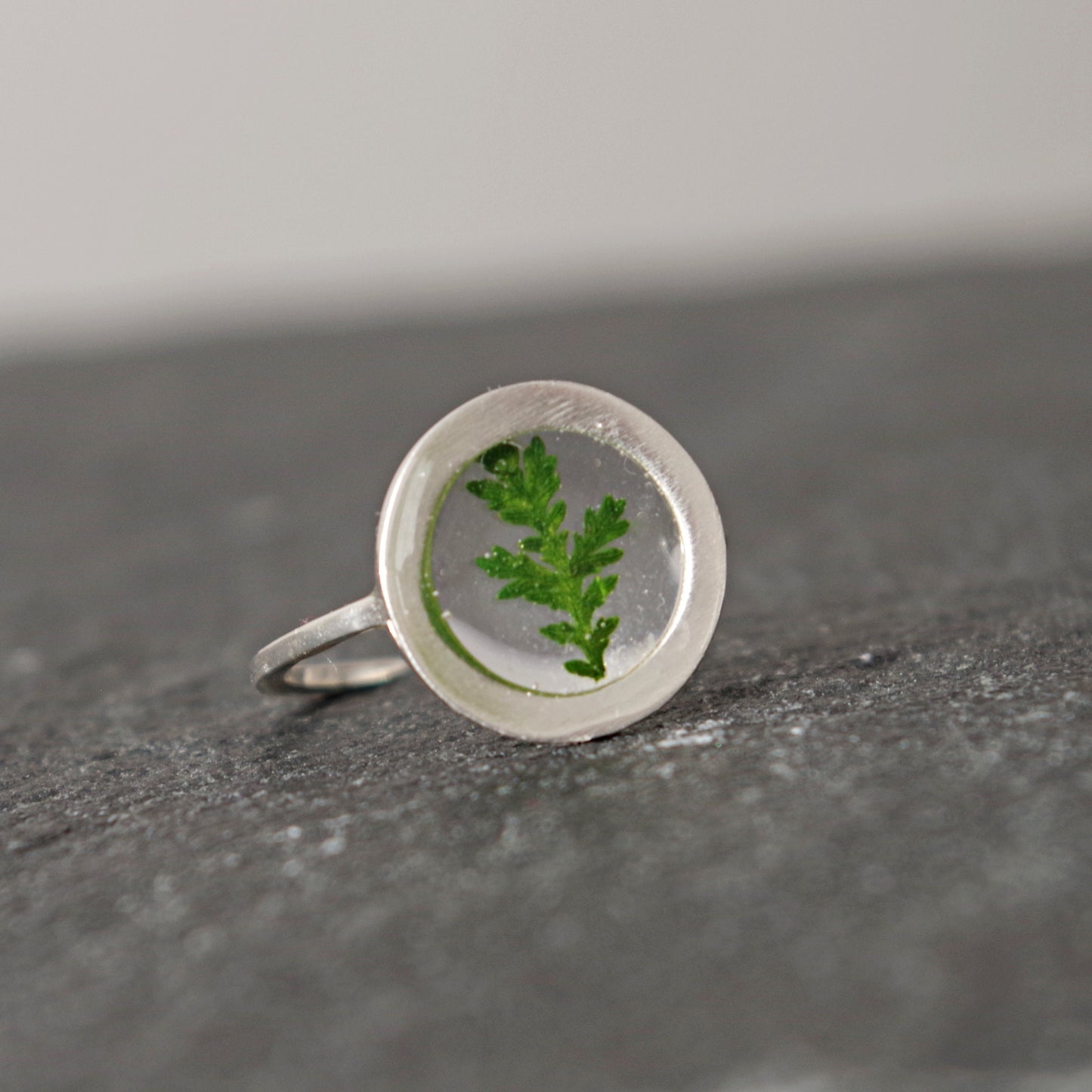 Pressed fern silver rings for women  Botanical jewelry Minimalist Adjustable Ring Terrarium jewelry Circle ring Christmas gift for mom
