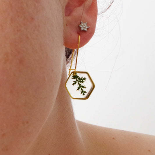 Real pressed fern leaf in resin earrings Botanical Jewelry Terrarium Jewelry Mothers day gift for mom real flower jewelry